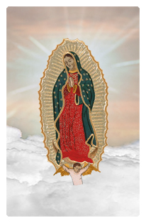 Lady of Guadalupe Bronze